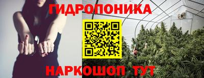 мдпв Пенза