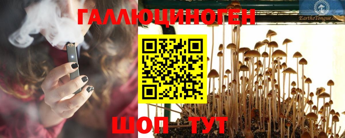Алушта  Псилоцибиновые грибы мухоморы  Вход с VPN 